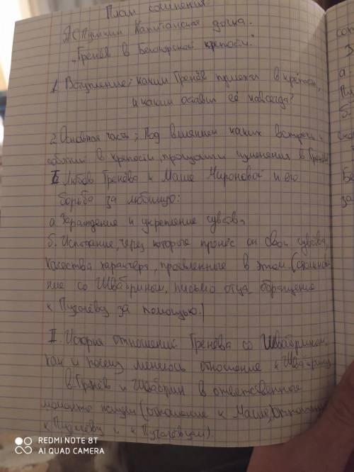 Сделайте сочинение капитанская дочка по вот такому плану: