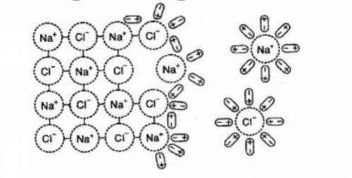 1. Объясните механизм гидратации ионов, при растворении в воде хлорида натрия