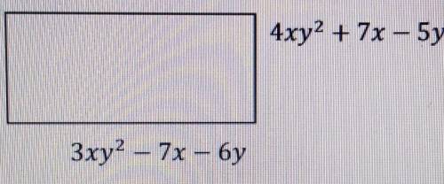 2.Найдите периметр прямоугольника. ответ запишите стандартного вида и укажите степень.4ху2 +7x — 5yЗ