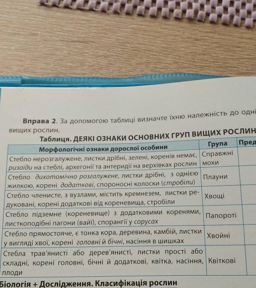 За до таблиці визначте їхню належність до однієї з груп вищих рослин​