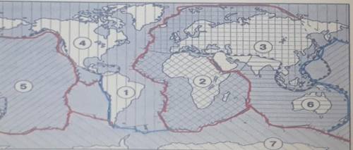 Определите вид тектонического движения, происходящий на дне Атлантического океана, формирующее среди