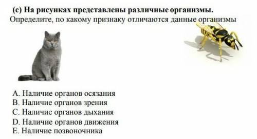 На рисунках представлены различные организмы. Определите, по какому признаку отличаются данные орган