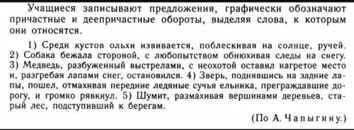 Учащиеся записывают предложения графически обозначают причастные и деепричастные обороты выделяя сло