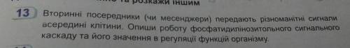 Вторинні посередники (чи месенджери) передають різноманітні сигнали всередині клітини. Опиши роботу