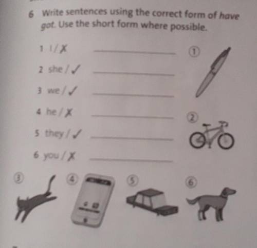 6 Write sentences using the correct form of havegot. Use the short form where possible.​