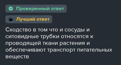 Пластины ситовидных трубок играют важную роль в транслокации веществ по растению. Объясните, почему.