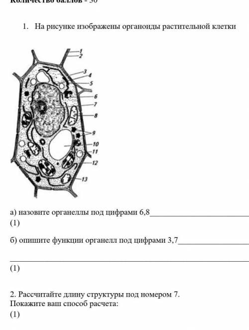 решить соч по биологии​