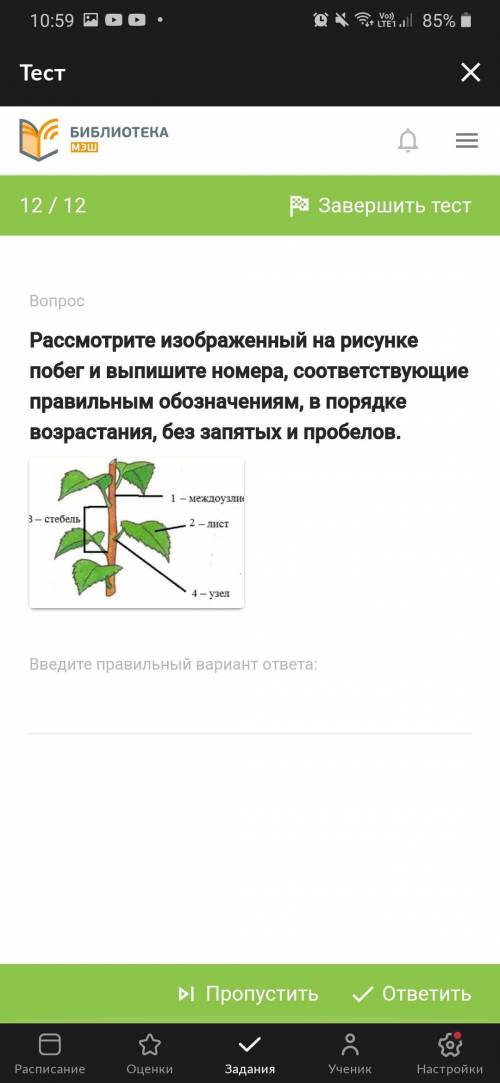 Вопрос Рассмотрите изображенный на рисунке побег и выпишите номера, соответствующие правильным обозн