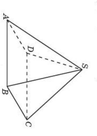 Имеет ли правильная четырехугольная пирамида а) центр ассиметрии б) оси симметрии в) плоскость симме