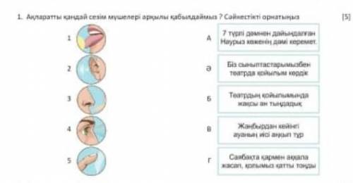 Отінем комек беріңдерш