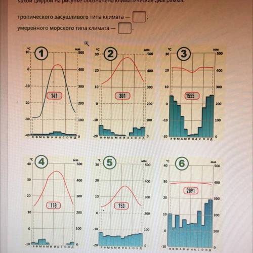 Условие задания: Какой цифрой на рисунке обозначена климатическая диаграмма: тропического засушливог