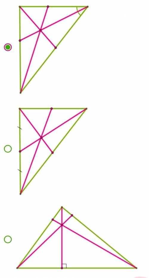 Три отрезка пересекаются в одной точке. Найди рисунок, на котором изображены медианы треугольника