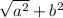 \sqrt{a { }^ {2} } + b {}^{2}