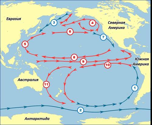 В Тихом океане существуют два круговорота течений — в Северном и Южном полушариях. Определи, какими