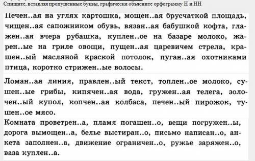 Спишите, вставляя пропущенные буквы, графически объясните орфограмму Н и НН (Скрин ниже)