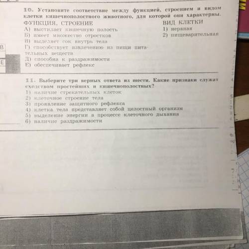 ￼ 10)Установите соответствие между функцией, строение и видом клетки кишечнополостного Животного￼￼ 1