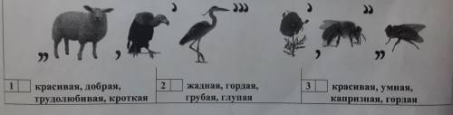 Разгадай ребус, укажи характеристику загадонной героини.