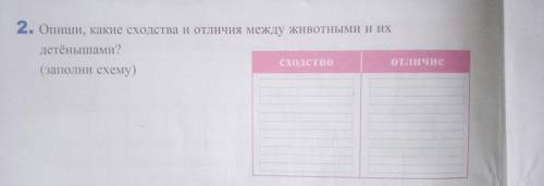 Какие сходства и отличия между животными и их детёнышами: Зебра,волк,лиса,медведь,лев и оленёнок