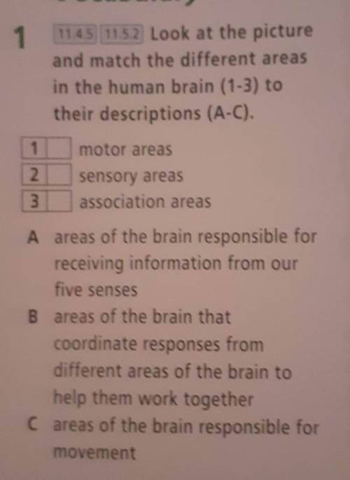 Look at picture and match the different areas in the human brain (1-3) to their descriptions (A-C)​