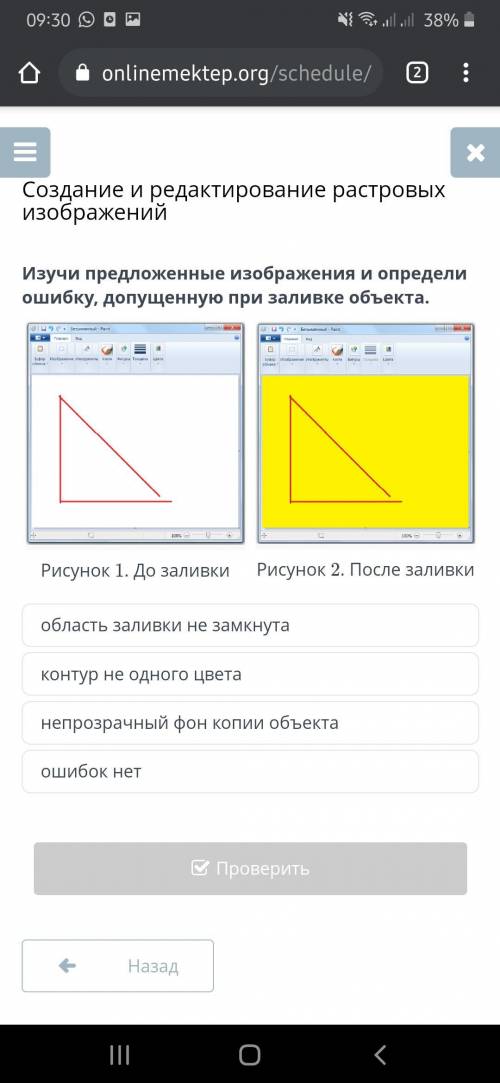 Изучи предложенные изображения и определи ошибку, допущенную при заливке объекта. Рисунок 1. До зали