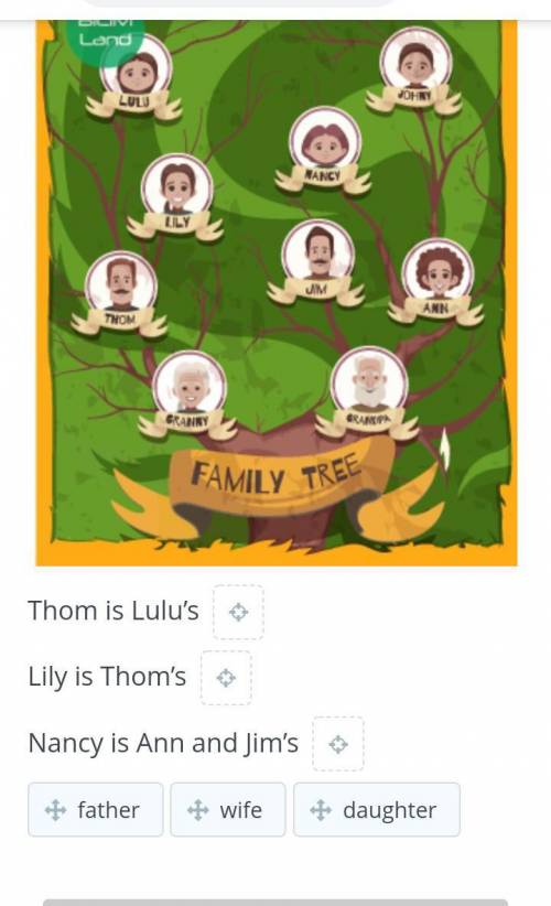 Study Lulu’s family tree and drag the words to complete the sentences.​