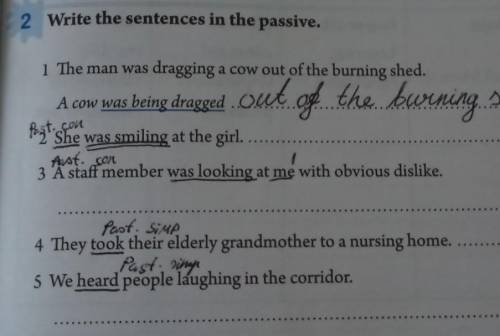 Write the sentences in the passive. ​