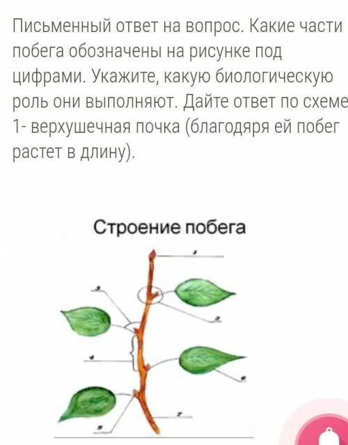 потратите время на меня(​