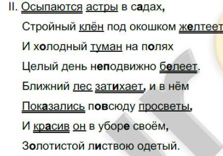 списать предложения, расставить знаки препинания, обозначить грамматические основы предложений, в ск