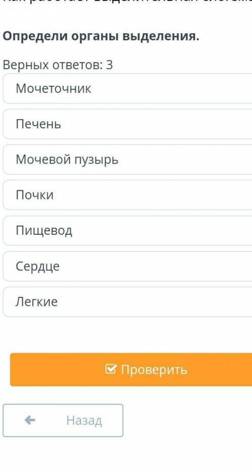 Определите органы выделения​