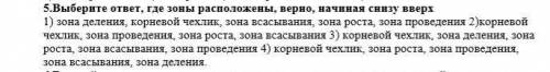 5.Выберите ответ, где зоны расположены, верно, начиная снизу вверх1) зона деления, корневой чехлик,