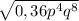 \sqrt{0,36p^{4}q^{8} }