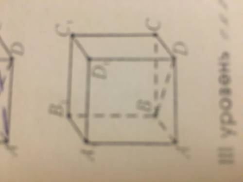АВСDA1B1C1D1 - куб. Докажите, что ВD и СС1 являются скрещивающимися прямыми.