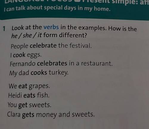 1 Look at the verbs in the examples. How is thehe/she/it form different?People celebrate the festiva