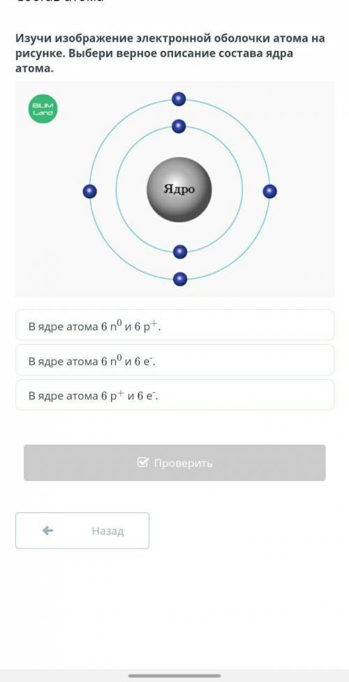 Изучи изображение электронной оболочки атома на рисунке. Выбери верное описание состава ядра атома.