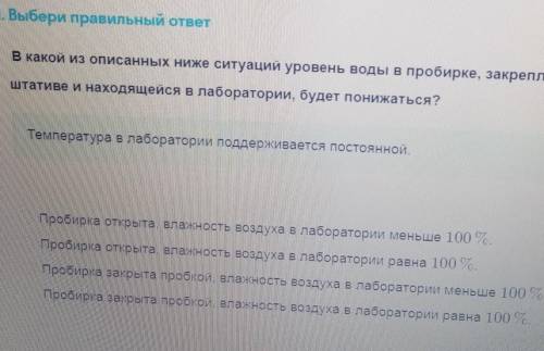 Выберите одно верное утверждение