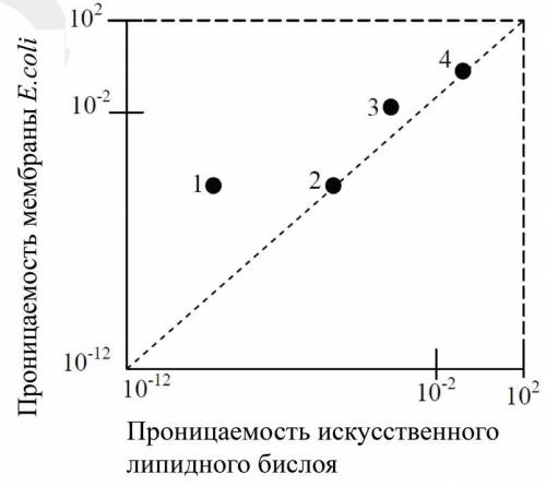 ну же! Биологические мембраны демонстрируют дифференциальную проницаемость для различных растворенны