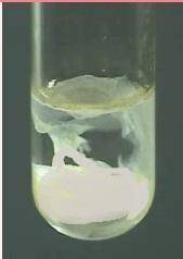 К раствору соли добавили раствор щёлочи. В результате химической реакции выпал осадок(белый). Рассмо