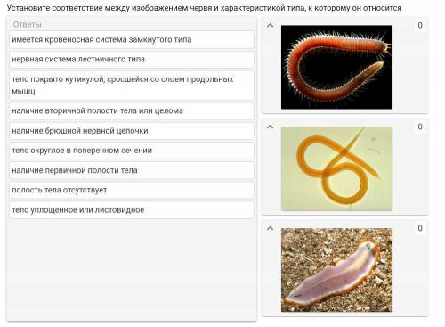 Биология, 7 класс. Распределите по картинкам.