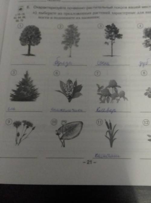 Что за растенияи деревья​
