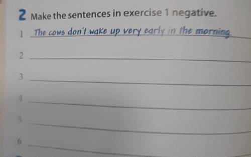 Make the sentences in exercise 1 negative ​