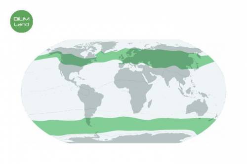 Определи климатический пояс, выделенный на карте. субтропический субарктический (субантарктический)