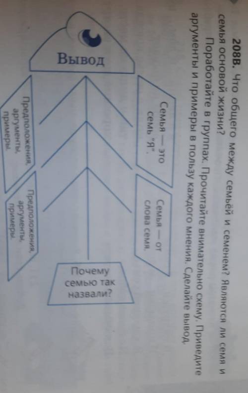 208в. Что общего между семьей и семенем? являются ли селя и семья основой жизни?Поработайте в группа