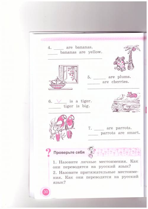 по английскому за 2 класс, нужно вставить местоимения, скан прикладываю.