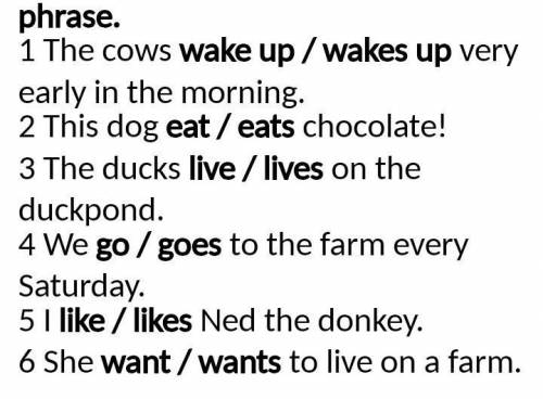 Make the sentences in exercise 1 negative. 1 The cows don’t wake up very early in the morning.2 3 4