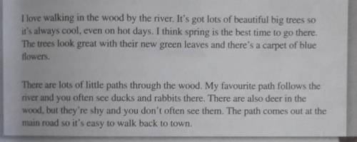 1 Where is the wood that Kevin is describing 2 Why is it nice to walk there in the summer? 3 What ty