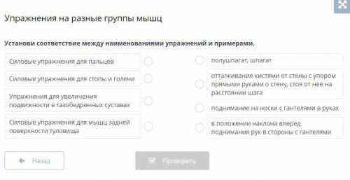 Упражнения на разные группы мышц Установи соответствие между наименованиями упражнений и примерами.