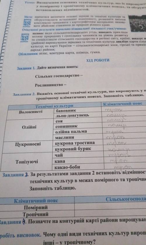 Відмінності у вирощуванні технічних культур в межах помірного тропічного кліматичних поясів ​