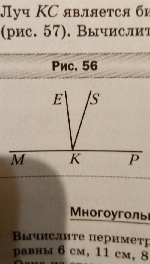 Из вершины развёрнутого угла MKS проведены два KE и KS так, что уголMKS=107*, угол EKP=95*. Вычислит