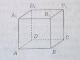 с геометрией! 1. Дан куб abcda1b1c1d1 .Какая точка принадлежит плоскости baa1? (фото) 1. D 2. D1 3.