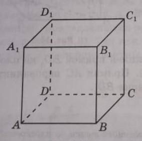 в кубе ABCDA1 B1 C1 D1 изобразите ортогональную проекцию на плоскость ACC1 отрезка a)BB1 б)BC1 в)BD1